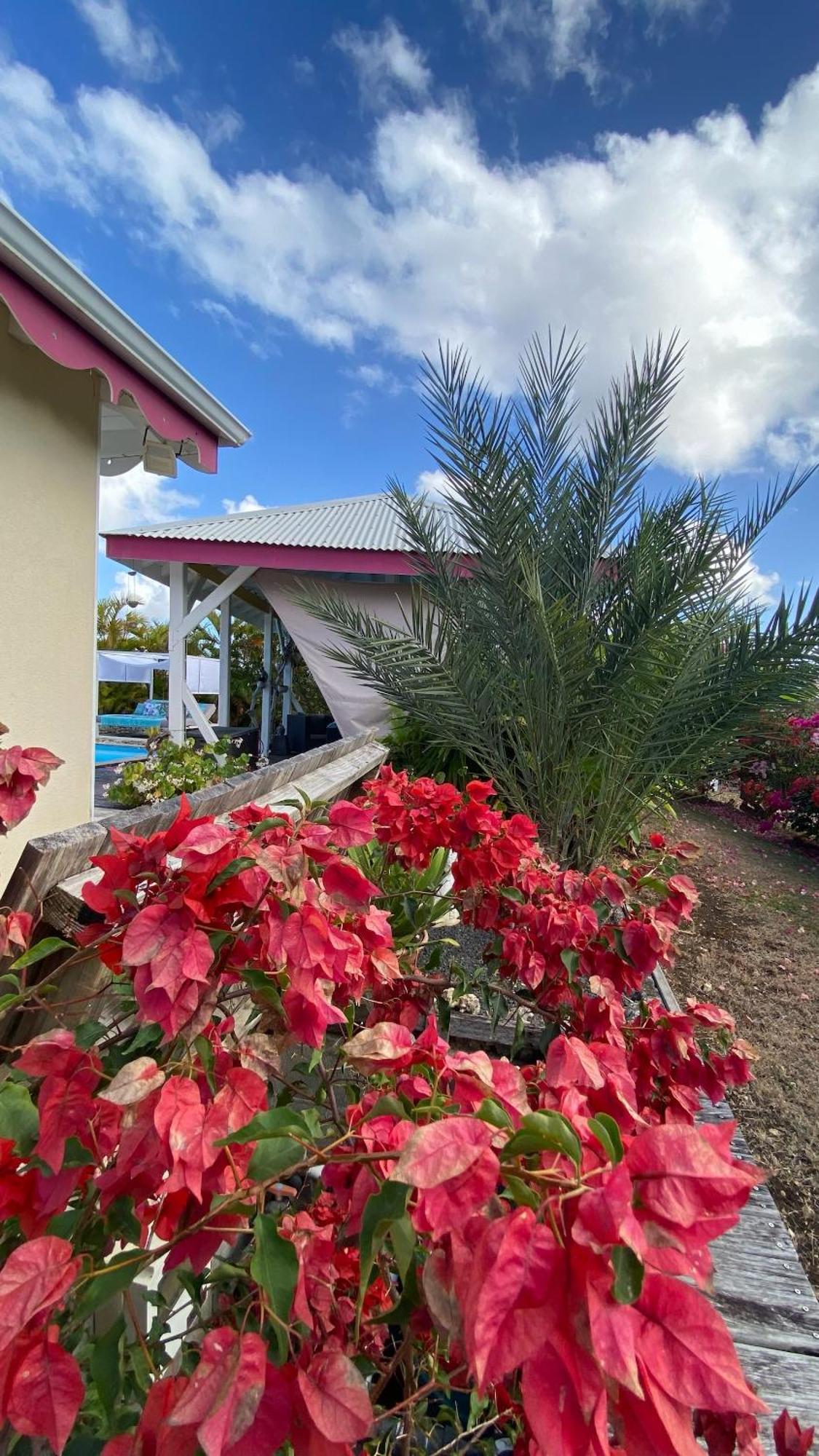 Au Bel'Vue Chez Sandrine "Gite & Chambre D'Hotes" Le Moule Dış mekan fotoğraf